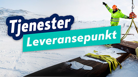 Leveransepunkt