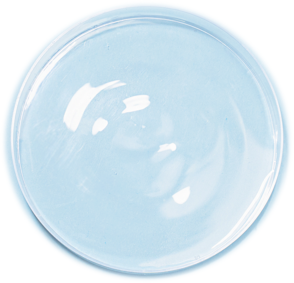 Water in dish