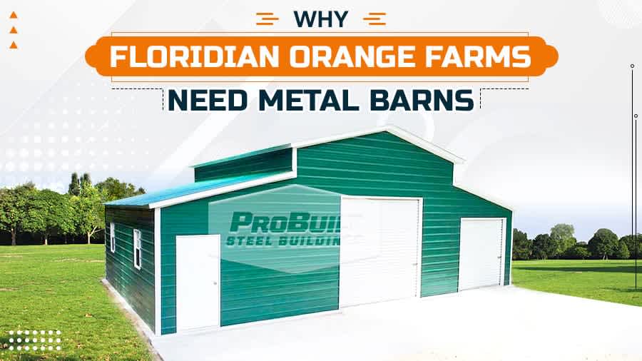 thumbnail for Why Floridian Orange Farms Need Metal Barns
