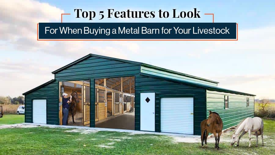 thumbnail for Top 5 Features to Look for When Buying a Metal Barn for Your Livestock