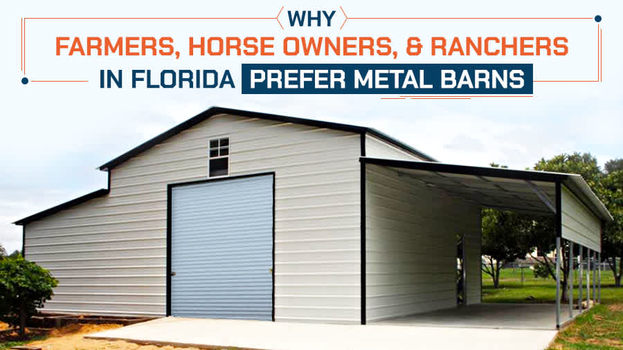 thumbnail for Why Farmers, Horse Owners, and Ranchers in Florida Prefer Metal Barns