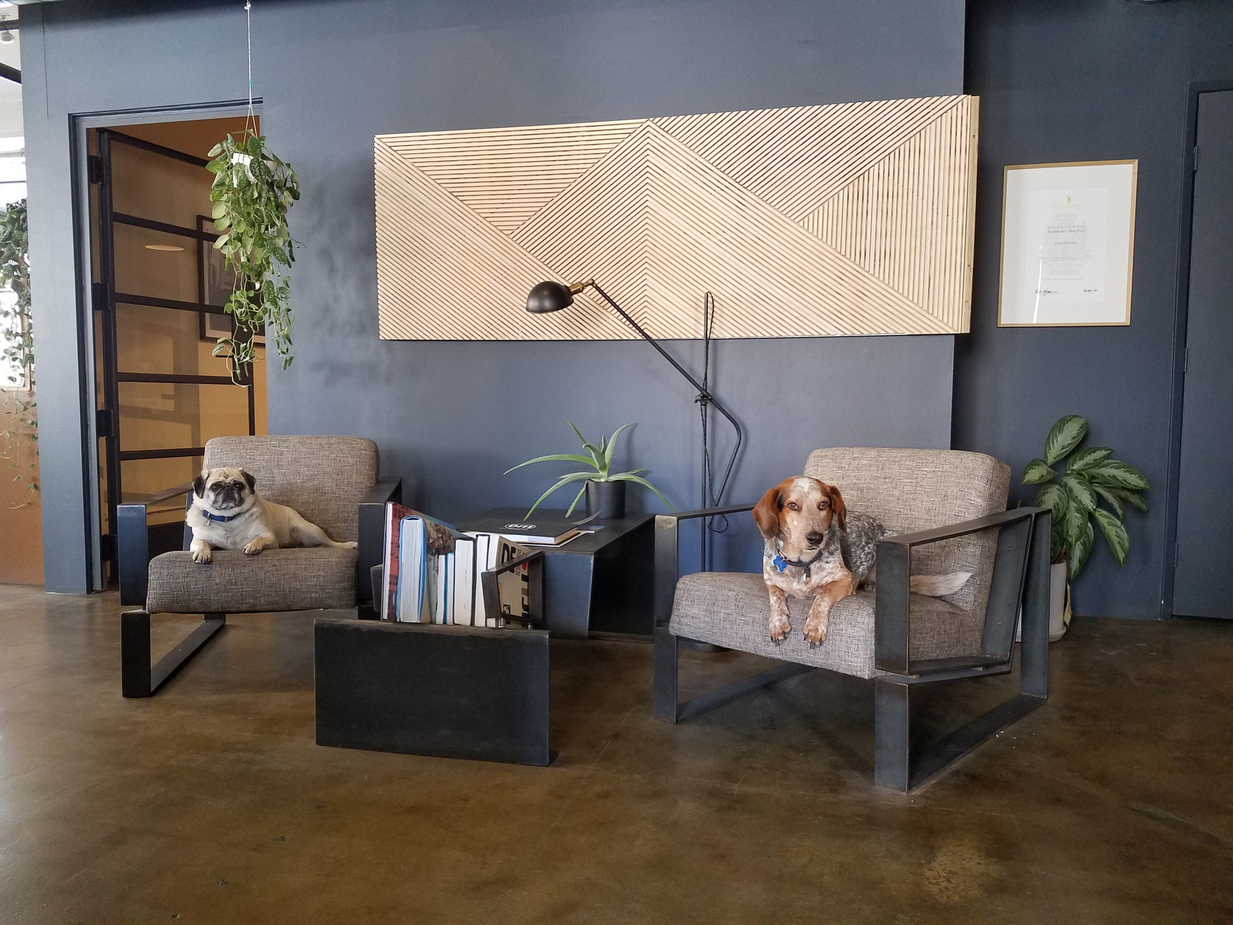 Model Dog Furniture Omgivning architecture office