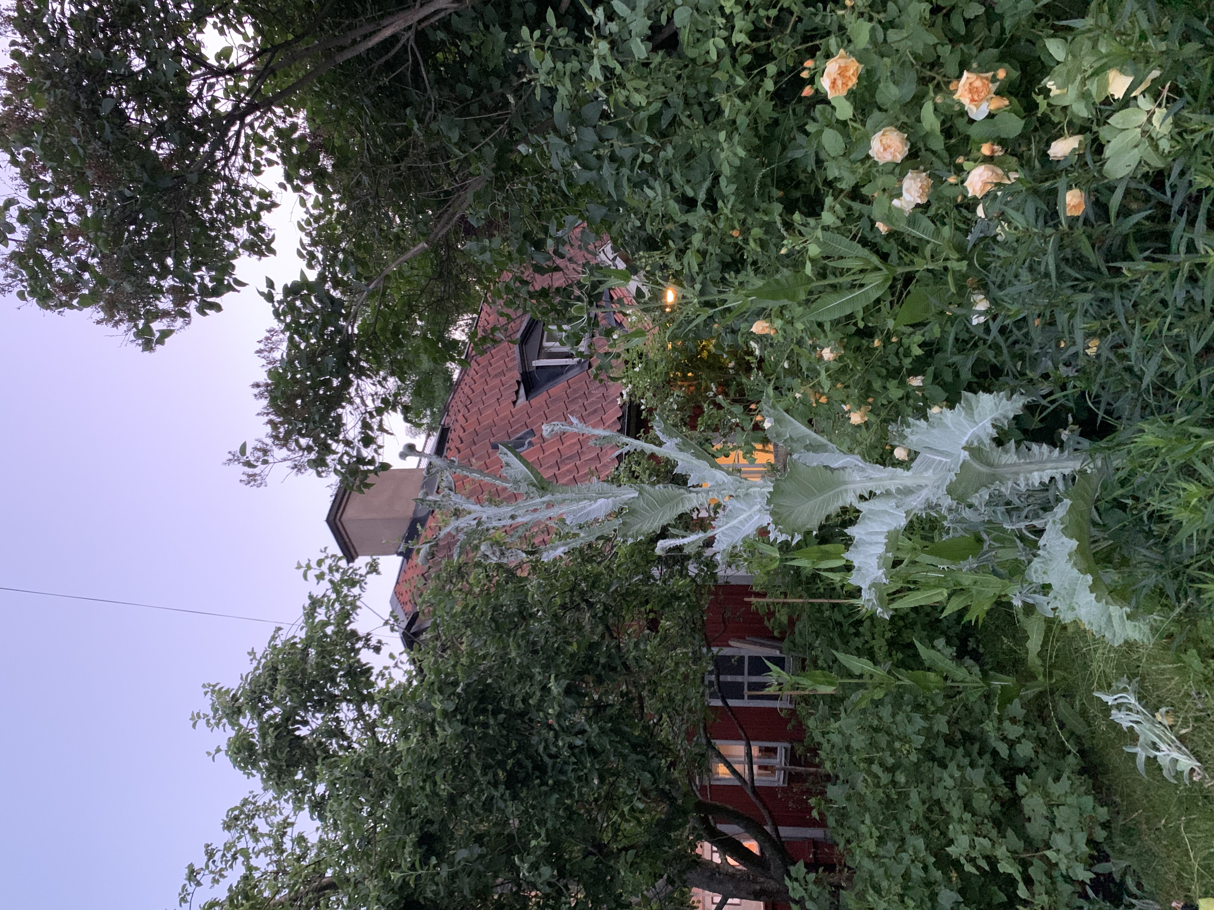 malmgardengarden