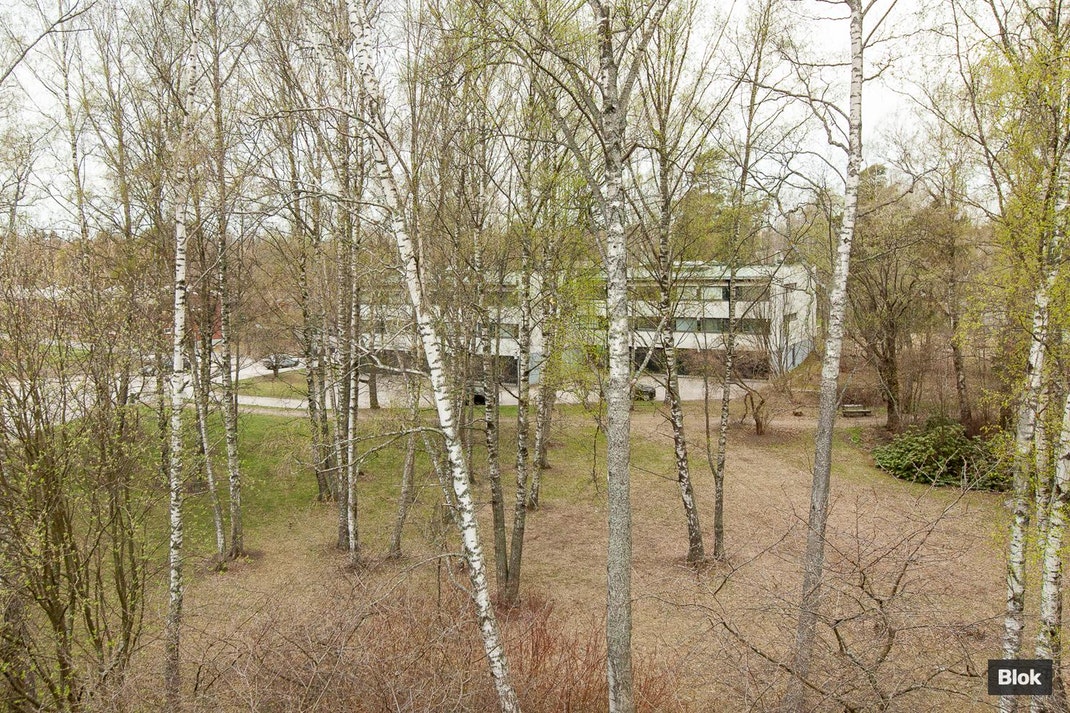 Pohjoiskaari 43 - Piha