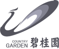 Restructuring & Special Situations Results Grid - Country Garden