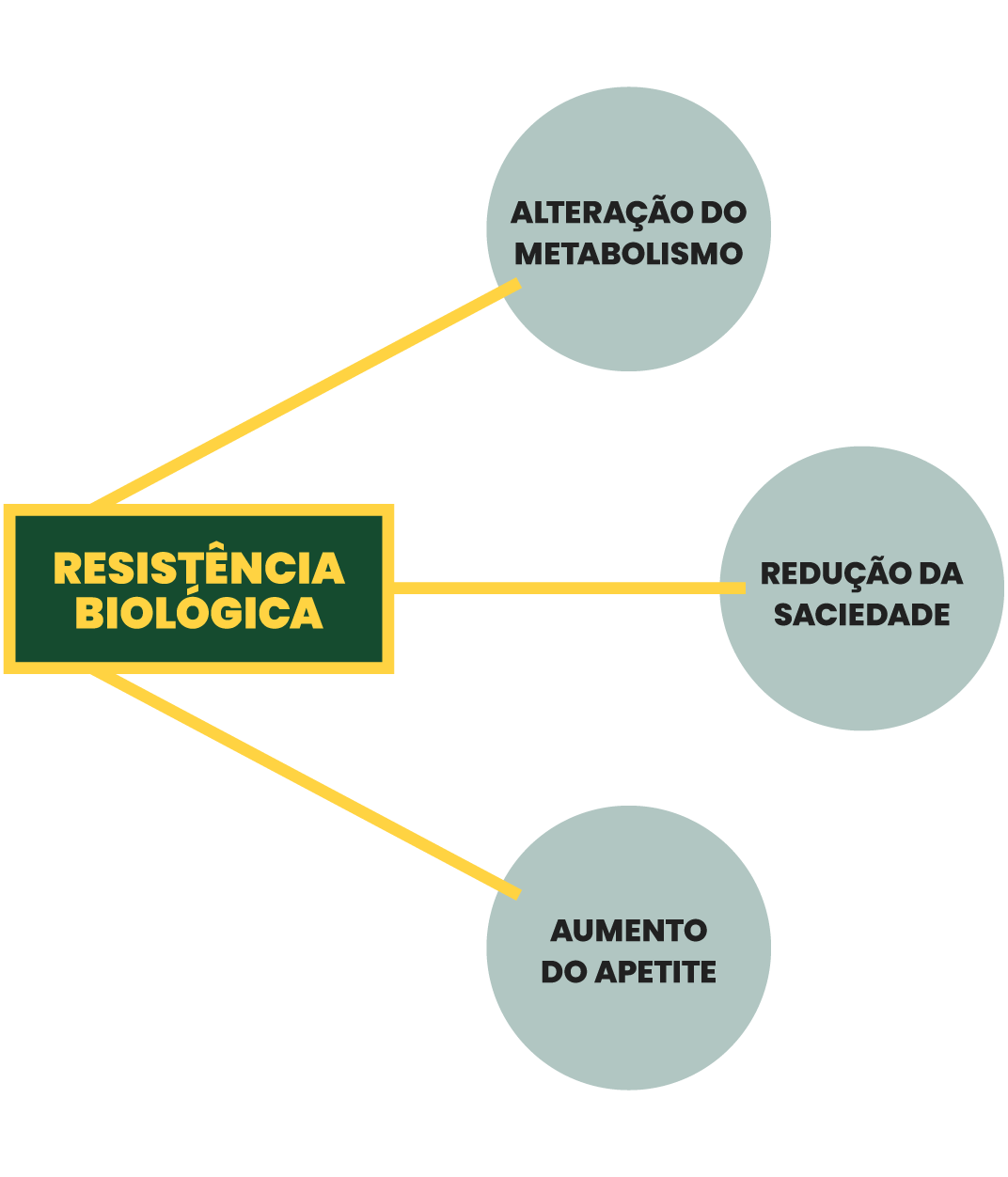 Esquema que explica os fatores que podem influenciar a resistência biológica à perda de peso.