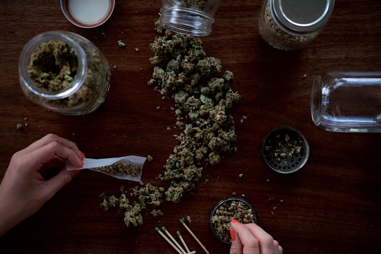 Marijuana being used for medical purposes.