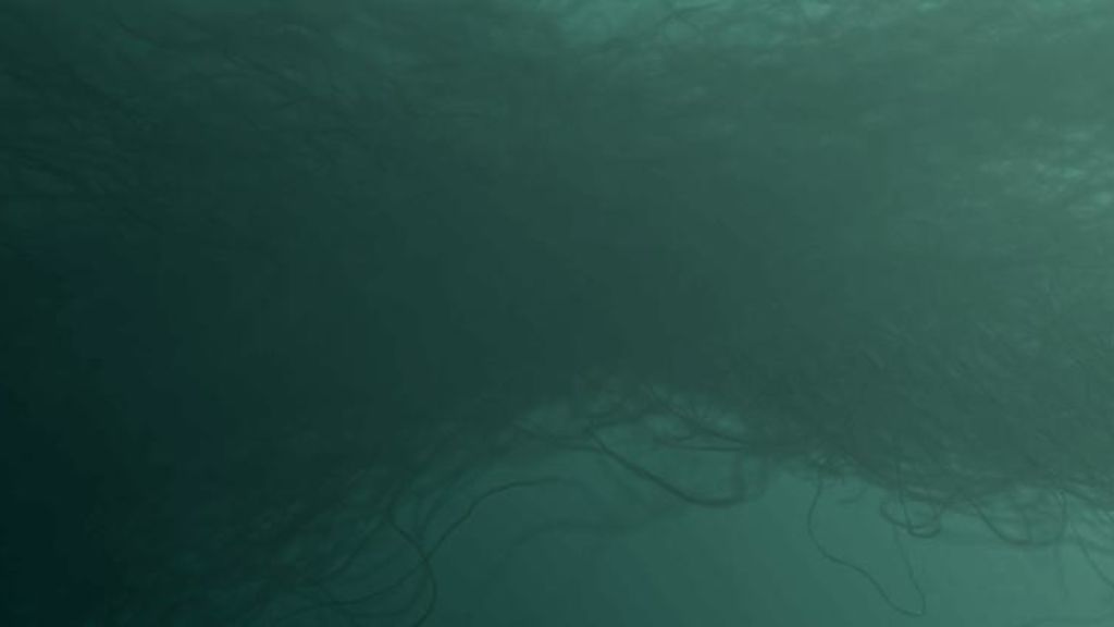 eden.jpeg - Cover image