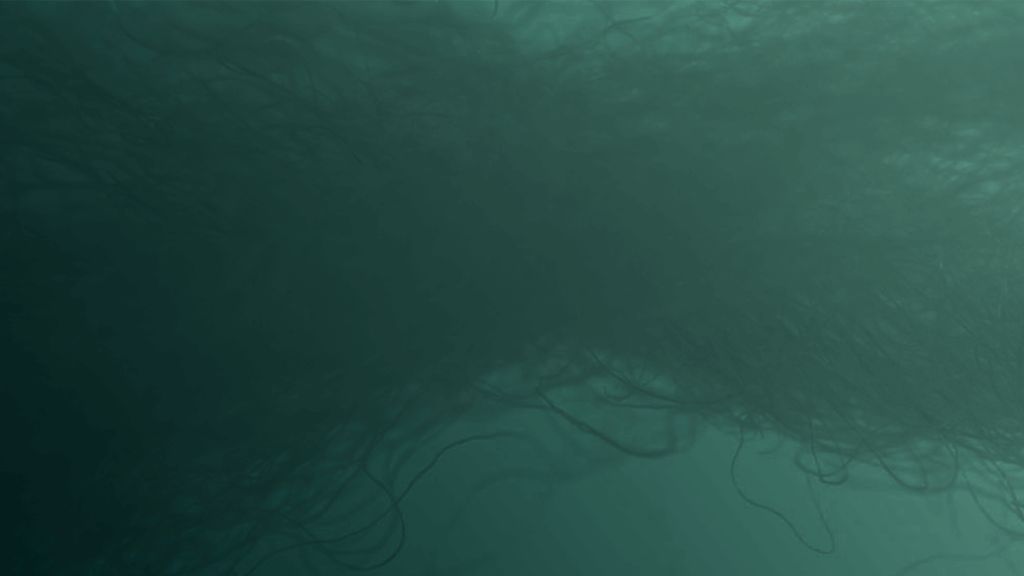 FrontBG__1_.png - Cover image