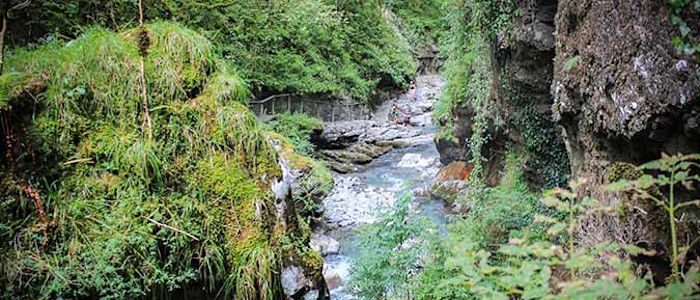 article 01-Insiders-PaysBasque 675