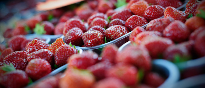 ok-Fraises © Cochise Ory - Vallée de la Dordogne