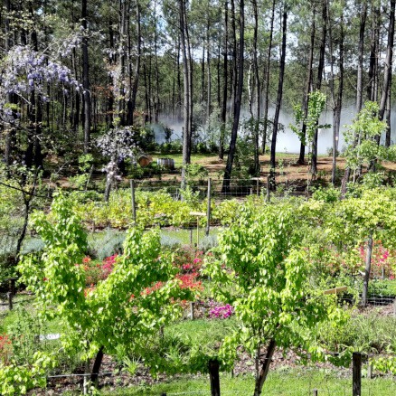 Parc de loisirs