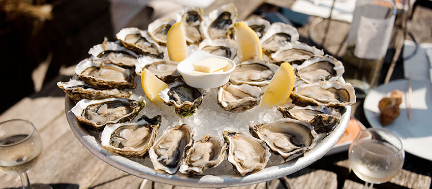 Un plateau d’huîtres et de citron Un plateau d’huîtres et de citron