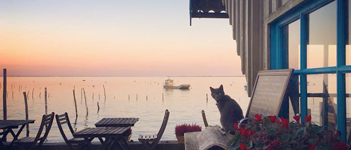 La Cabane 57 dans le bassin d’Arcachon