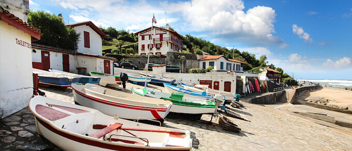 Pays-Basque guetary