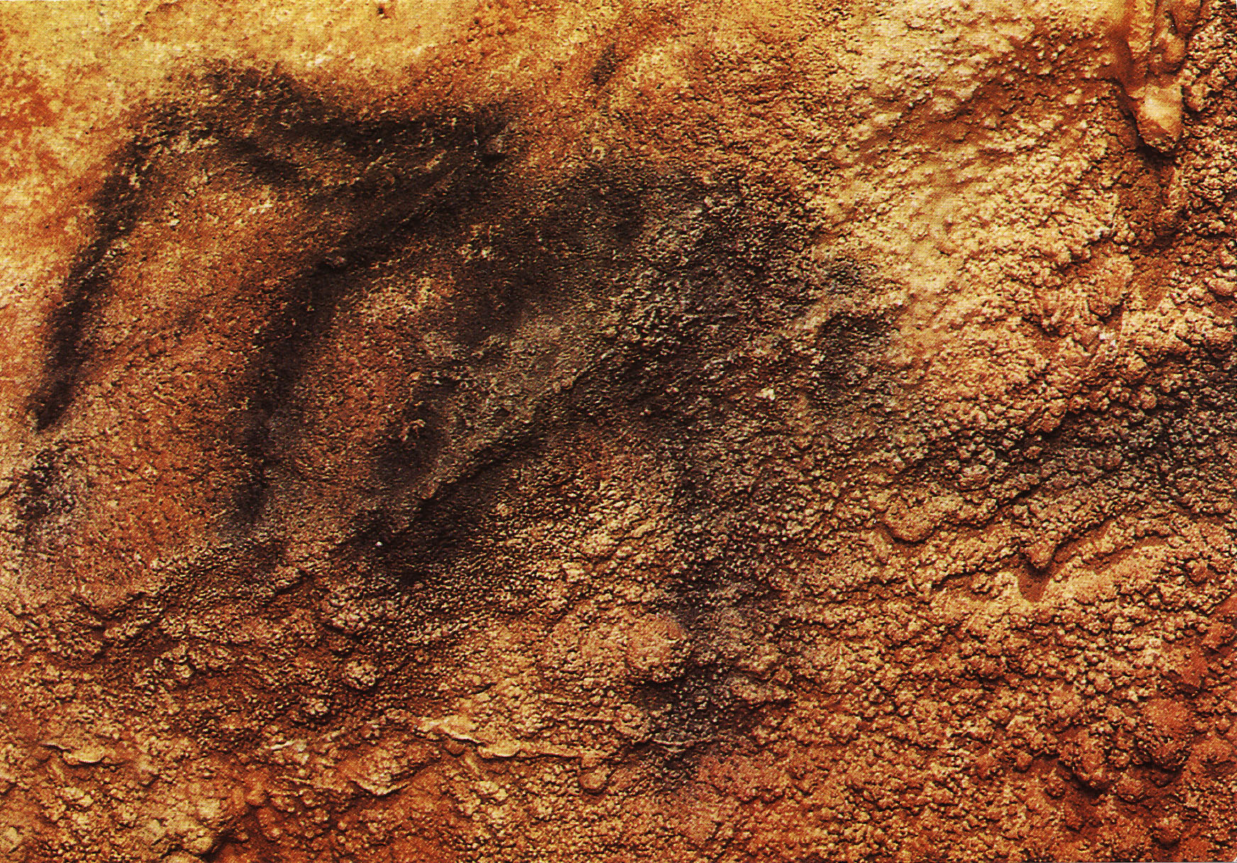 La Grotte Préhistorique des Merveilles, dans la vallée de la Dordogne.