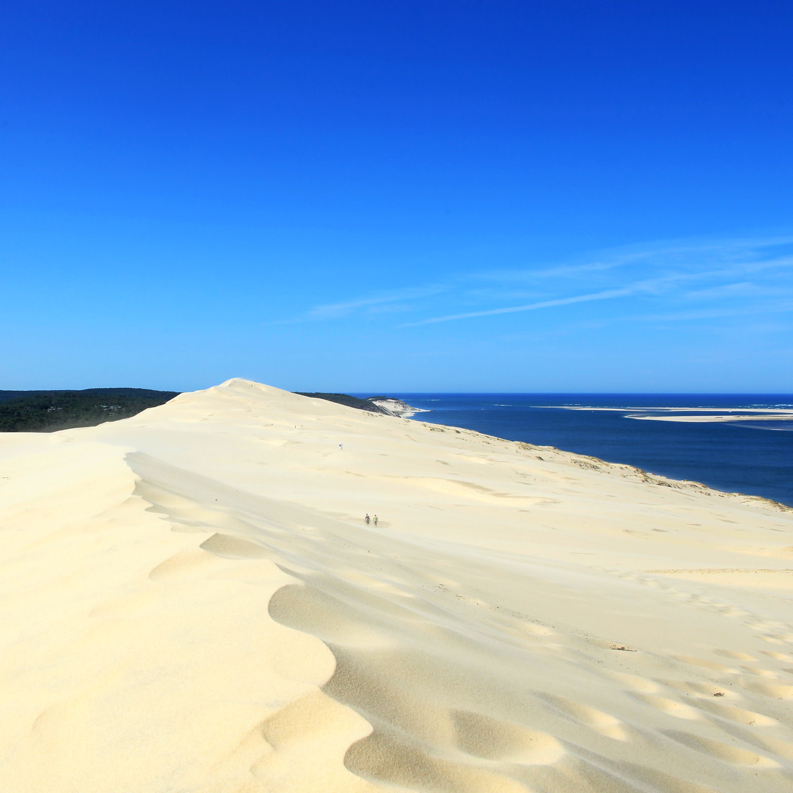 La Dune du Pilat ok