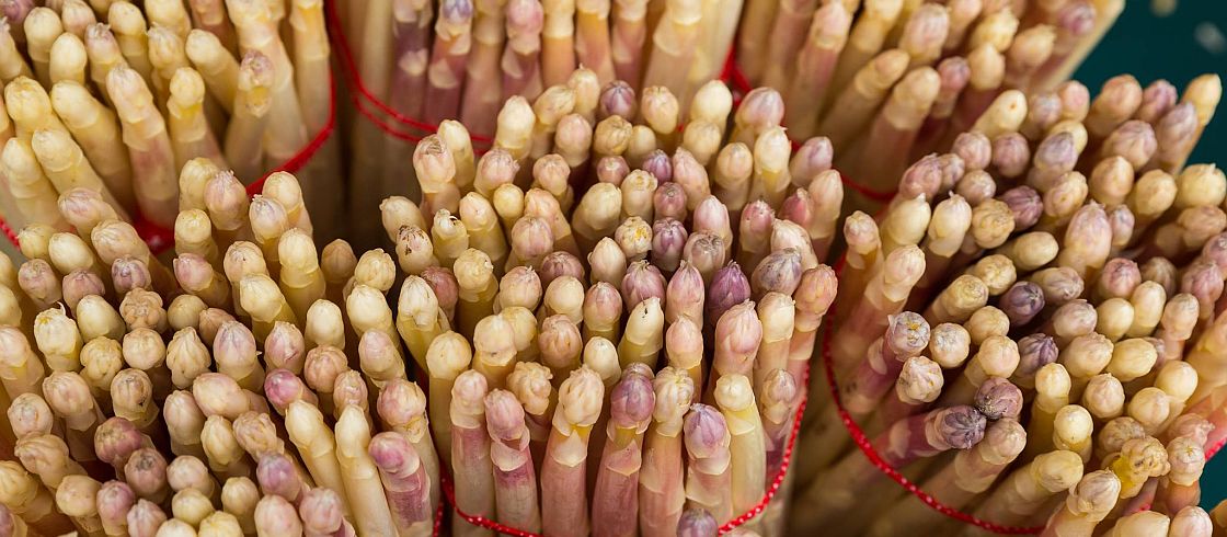 Spécialités bordelaises ouverture asperge Spécialités bordelaises ouverture asperge