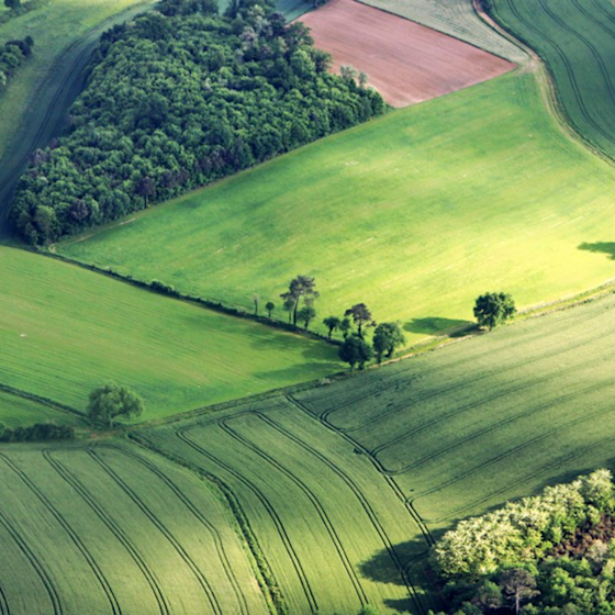 Concours photo #Agrienscene Palmarès 2021