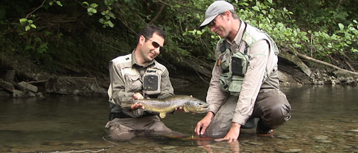 Grosse fario 9 © stonefly