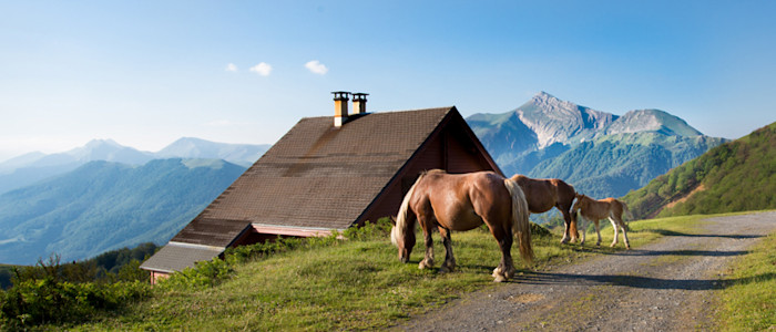 Iraty, vue sur les sommets