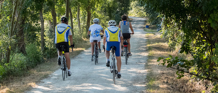 article standard 01MaraisPotevin1280x800