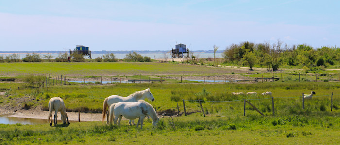 Ferme Aquacole île Madame