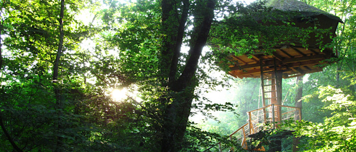 Parc de la Belle 7 © Parc de la Belle-800
