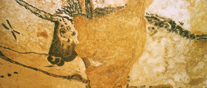 Détail d une peinture rupestre des Grottes de Lascaux