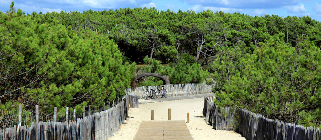 Accès a la plage avec les caillebotis Accès a la plage avec les caillebotis