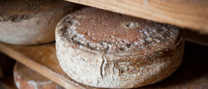 fromages ossau iraty, saloir, pyrenees