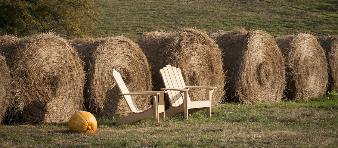 Campagne - Campagne -