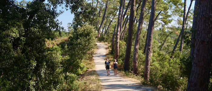 Sentier du lac