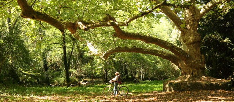 Parc Naturel Régional du Périgord-Limousin