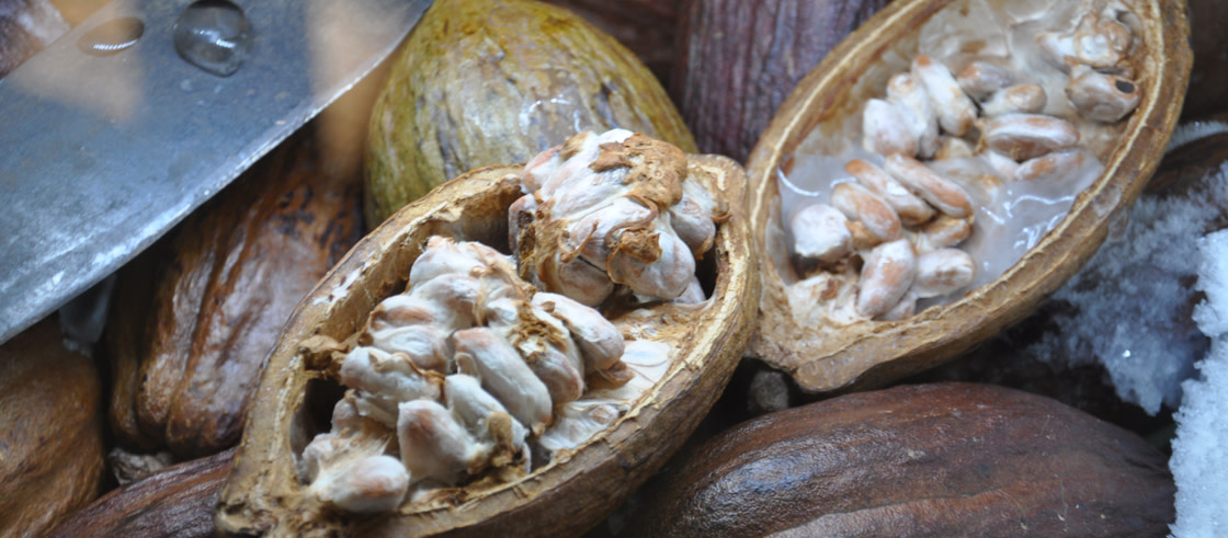 Journée du chocolat à Bayonne Journée du chocolat à Bayonne
