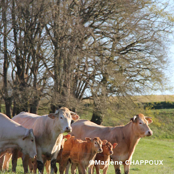 Concours photo #Agrienscene Palmarès 2021
