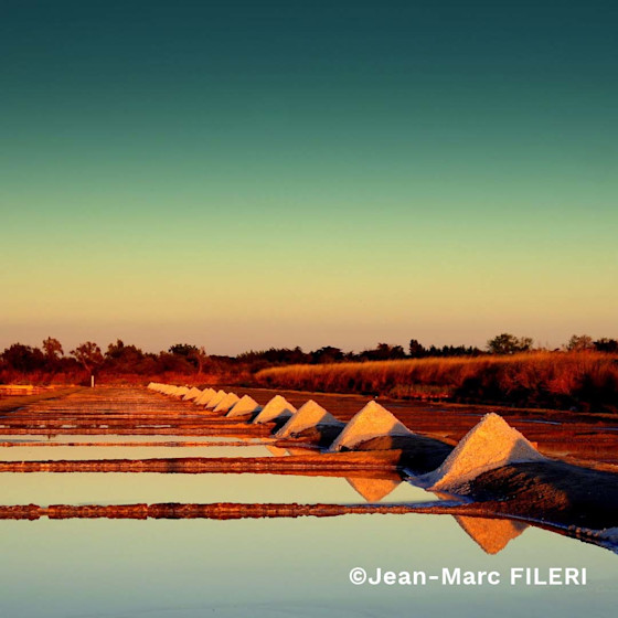 Concours photo #Agrienscene Palmarès 2021