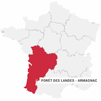 Forêt des Landes - Armagnac - Carte