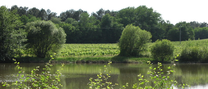 ©chateau garreau -parcours nature etang ecomusee armagnac - -800
