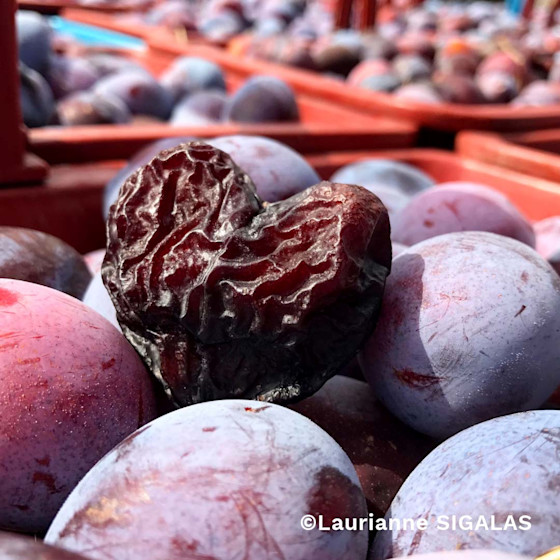 Concours photo #Agrienscene Palmarès 2021