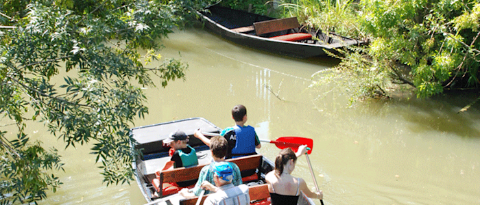 Balade en barque dans le Parc Naturel Régional du Marais Poitevin