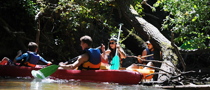 Canoeing in the heart of the Landes
