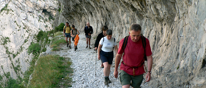 Chemin de la Mâture