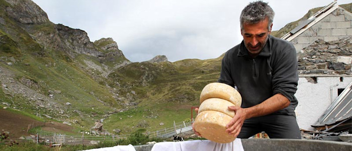 Ossau Iraty - Berger à Bious