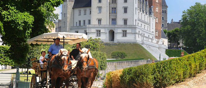 Promenade en calèche dans le parc du chateau de Pau