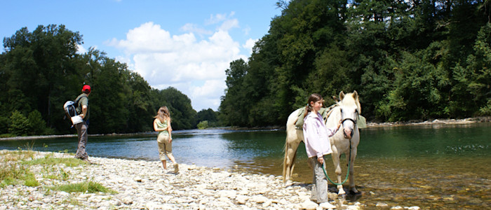 Randonnée avec un Pottok - rivière Pyrénées Atlantiques