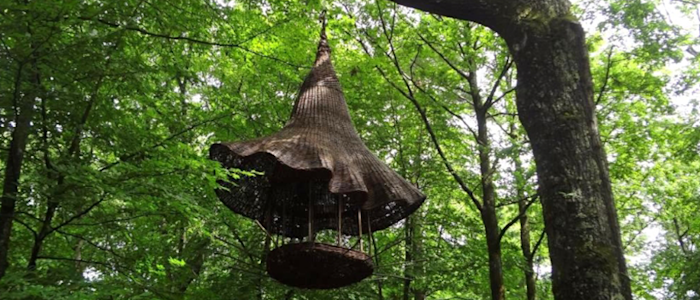 Bois de la Bastide à Limoges