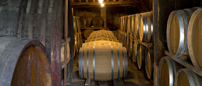 Chais d’armagnac
