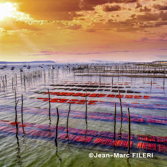Concours photo #Agrienscene Palmarès 2021