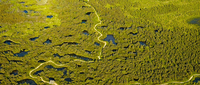 Réserve Naturelle du Pinail